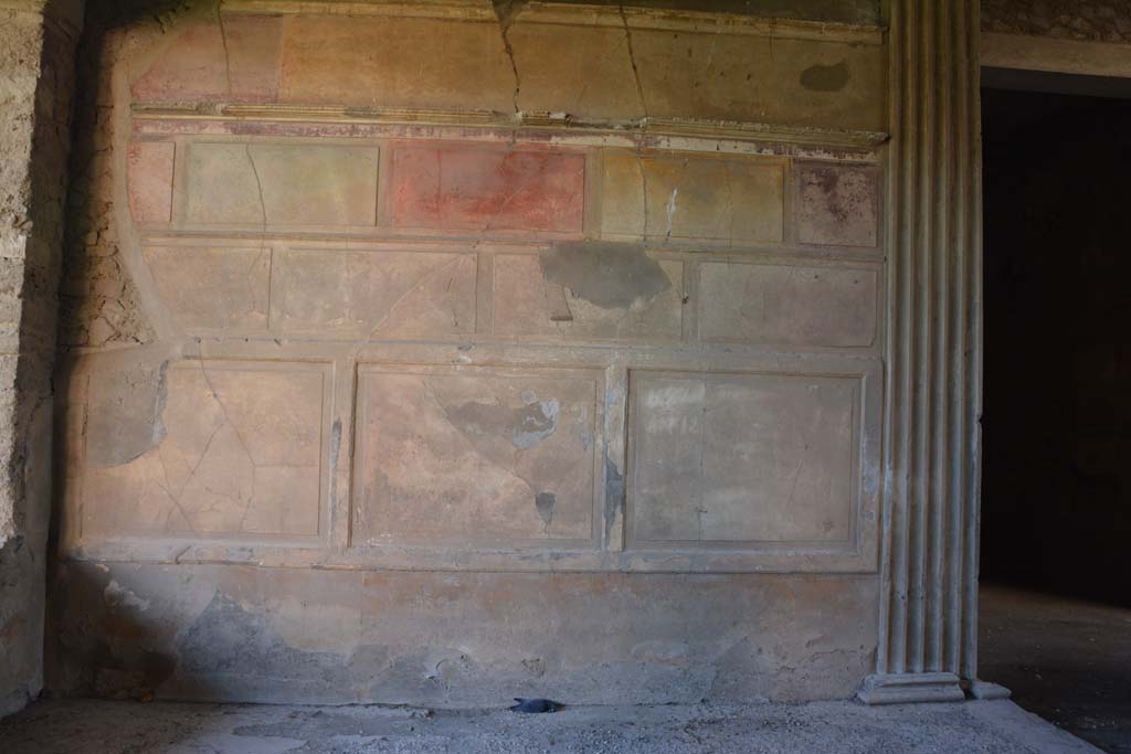 VI.2.4 Pompeii, December 2017. Detail of south wall in tablinum.
Foto Annette Haug, ERC Grant 681269 DÉCOR.