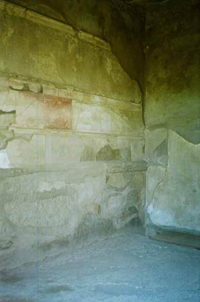 VI.2.4 Pompeii. June 2010.
South wall at west end of oecus on north side of tablinum near to the summer triclinium.
Photo courtesy of Rick Bauer.