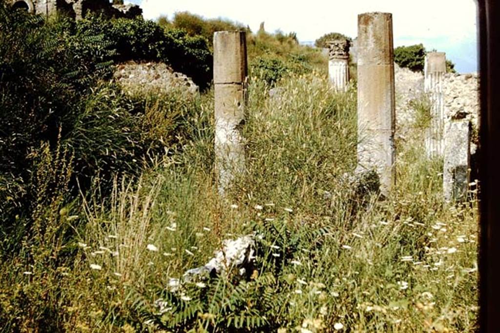 VI.2.18 Pompeii. 1959. Looking east across garden area towards VI.2.19. Photo by Stanley A. Jashemski.
Source: The Wilhelmina and Stanley A. Jashemski archive in the University of Maryland Library, Special Collections (See collection page) and made available under the Creative Commons Attribution-Non Commercial License v.4. See Licence and use details.
J59f0576