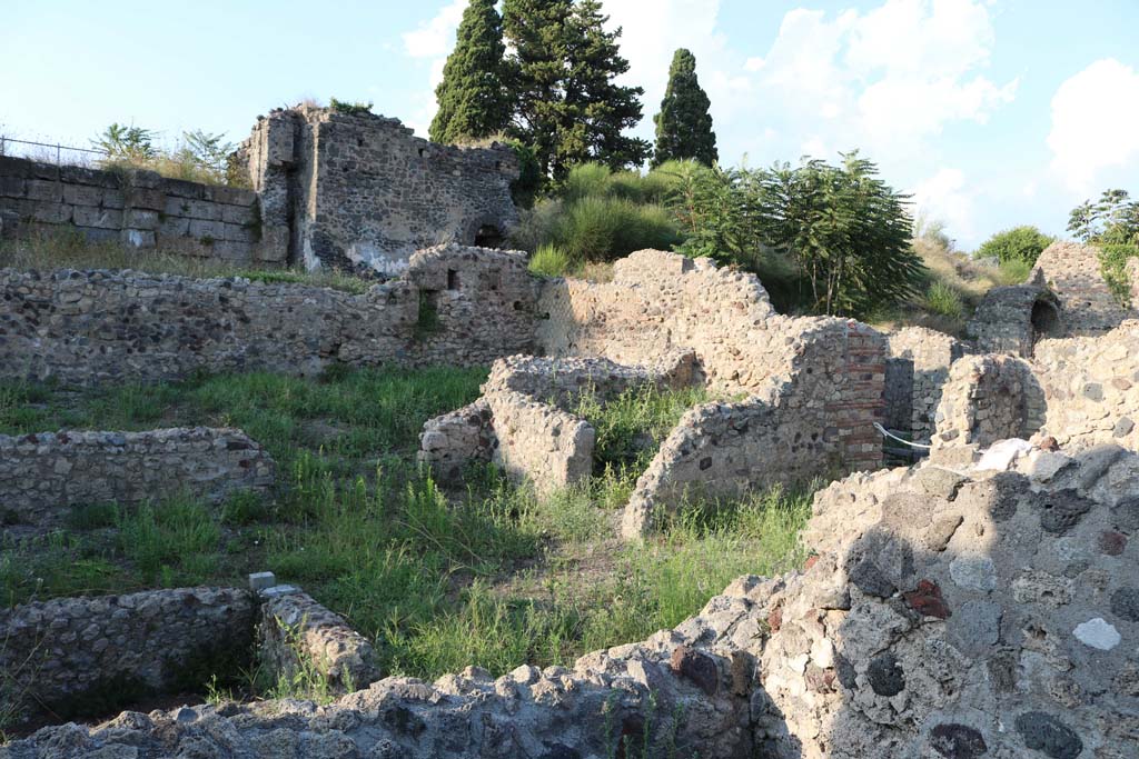 VI.2.19 Pompeii. December 2018.
Looking north-east across the impluvium towards the entrance corridor onto Vicolo di Modesto. Photo courtesy of Aude Durand.