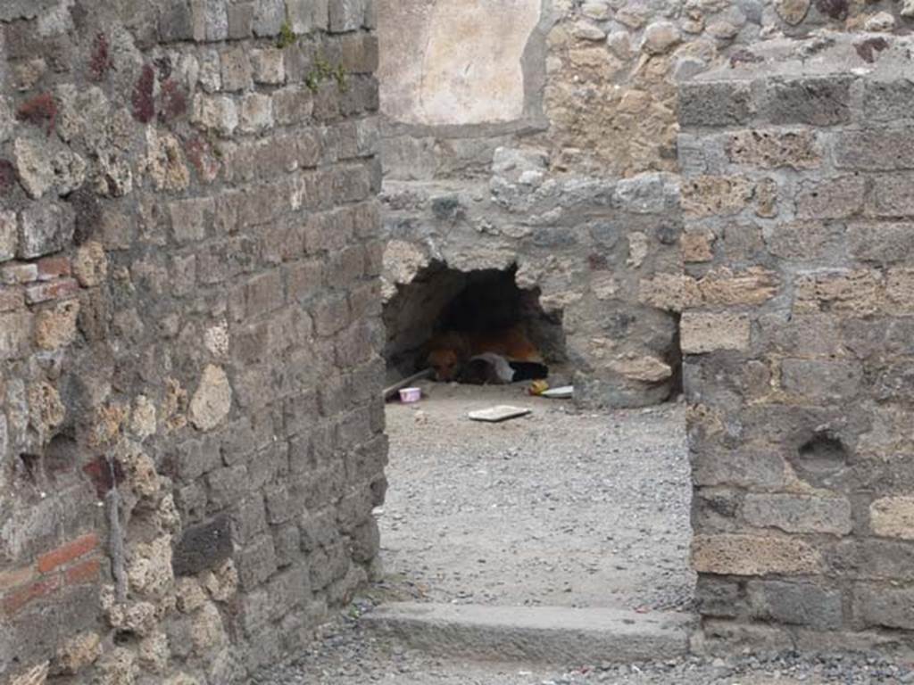 VI.3.3 Pompeii. May 2012. Doorway to room 8, looking north. Photo courtesy of Buzz Ferebee.