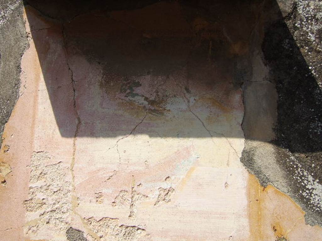 VI.5.5 Pompeii. September 2005. Central panel on the north wall of triclinium to the left behind the peristyle.
According to PPM -
the painting in the centre of the north wall. which a small lean-to roof did not succeed in protecting so it has now faded and disappeared, was of a still-life with fishes (Helbig 1707).
See Carratelli, G. P., 1990-2003. Pompei: Pitture e Mosaici. Vol. IV. Roma: Istituto della enciclopedia italiana. (p.329, 330)