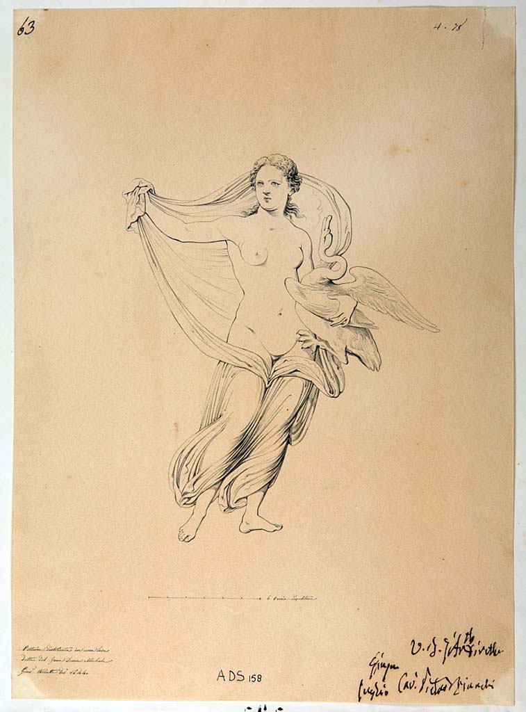 VI.5.5 Pompeii. 1844 drawing by Giuseppe Abbate of a panel with Leda and the swan (Helbig 151).
Now in Naples Archaeological Museum. Inventory number ADS 158.
Photo © ICCD. http://www.catalogo.beniculturali.it
Utilizzabili alle condizioni della licenza Attribuzione - Non commerciale - Condividi allo stesso modo 2.5 Italia (CC BY-NC-SA 2.5 IT)
According to Helbig’s topographical list, this panel also came from the triclinium, but today the IV Style decoration has disappeared.