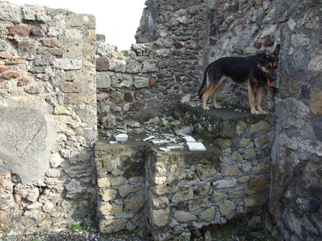 VI.5.10 Pompeii. December 2007. Room 16, south-east corner, with dog �Sheila� our faithful companion who followed us closely.