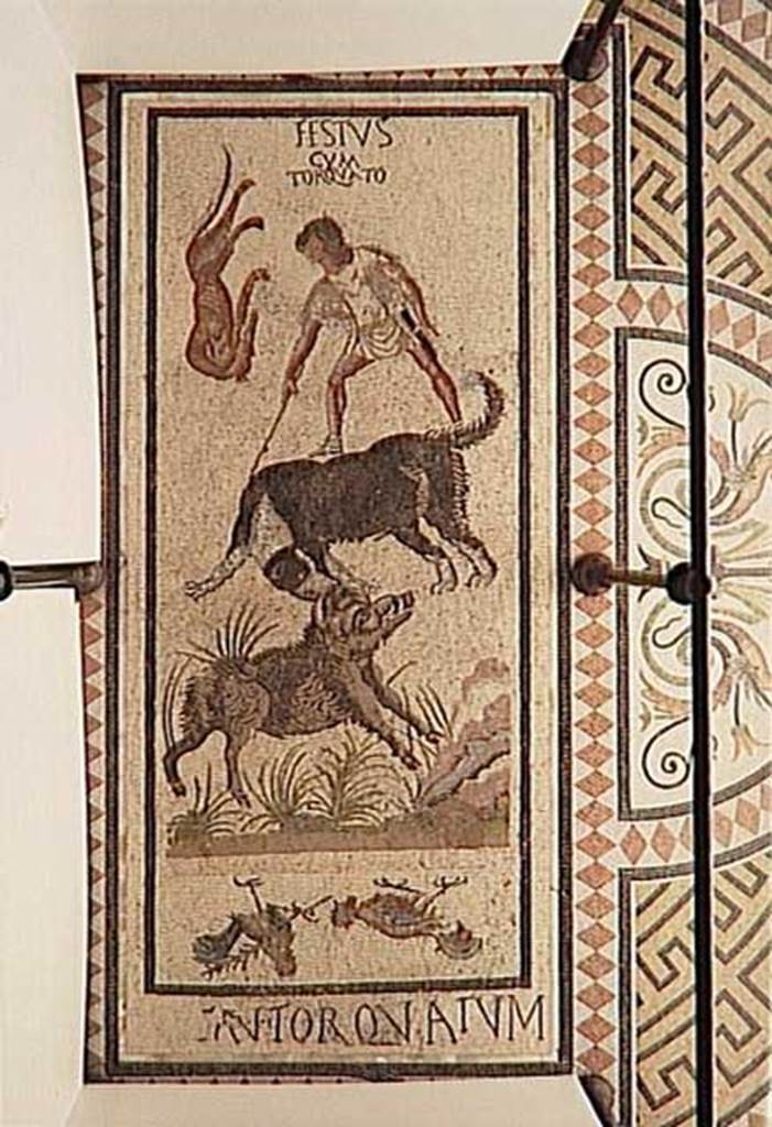 VI.5.10 Pompeii. Floor mosaic found in room near peristyle, reported in PAH I, 3, 12 on 14th January 1809. Mosaic of the hunt - Festus cum Torquato. Now in the musee Conde at the Chateau de Chantilly, France. Photograph courtesy of musee Conde, photo RMN © R G Ojeda.
