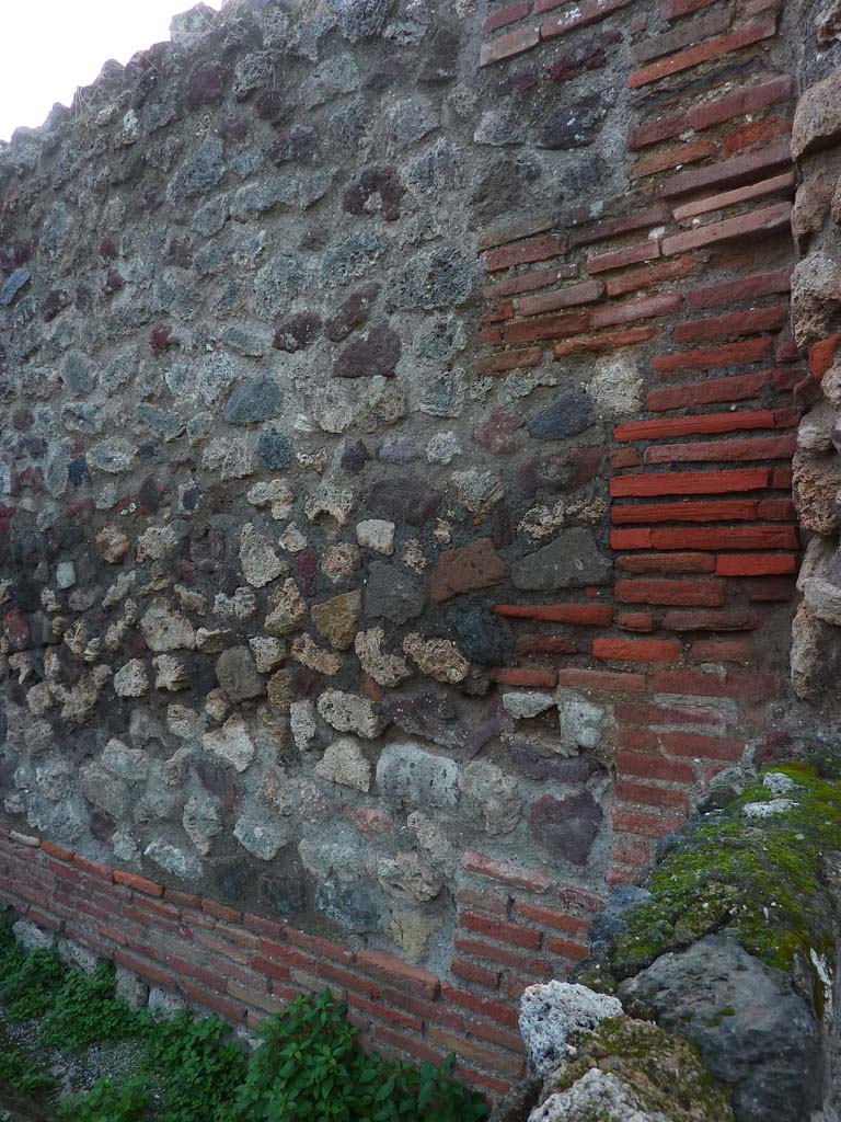 VI.5.10 Pompeii. November 2021.
West wall of peristyle, at north end near entrance doorway. Photo courtesy of Hélène Dessales.