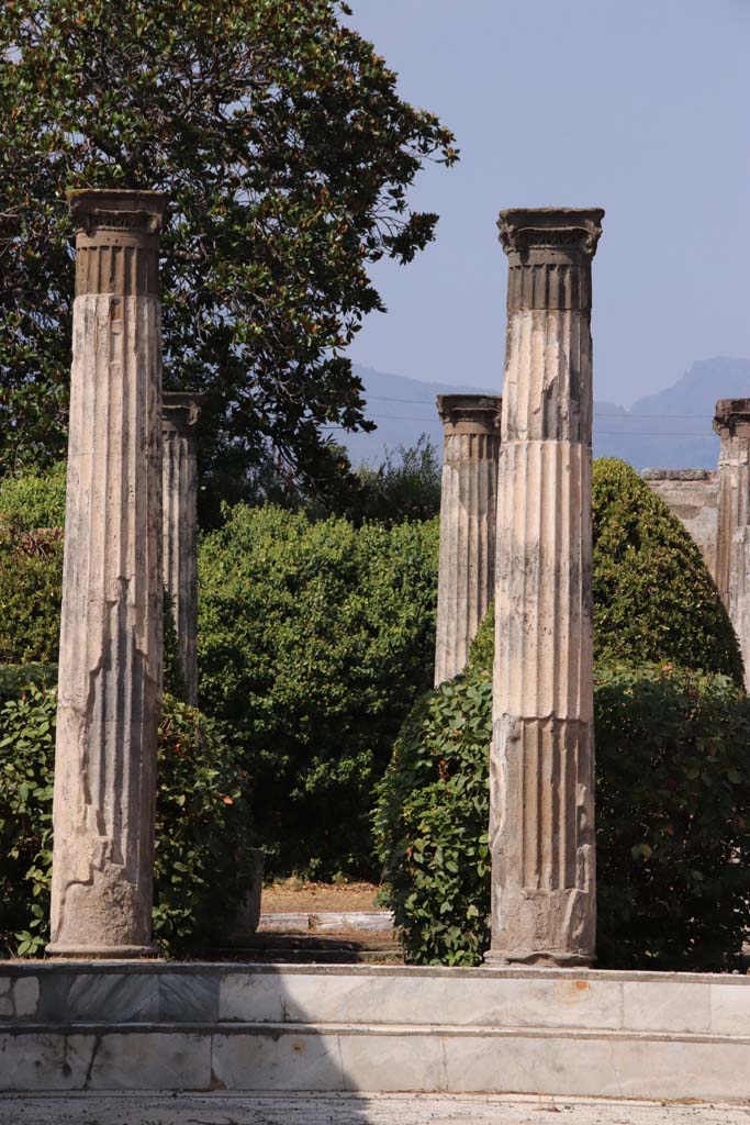VI.6.1 Pompeii. September 2019.
Room 6, looking north from steps in tablinum on north side of atrium towards columns in peristyle garden.
Photo courtesy of Klaus Heese.
