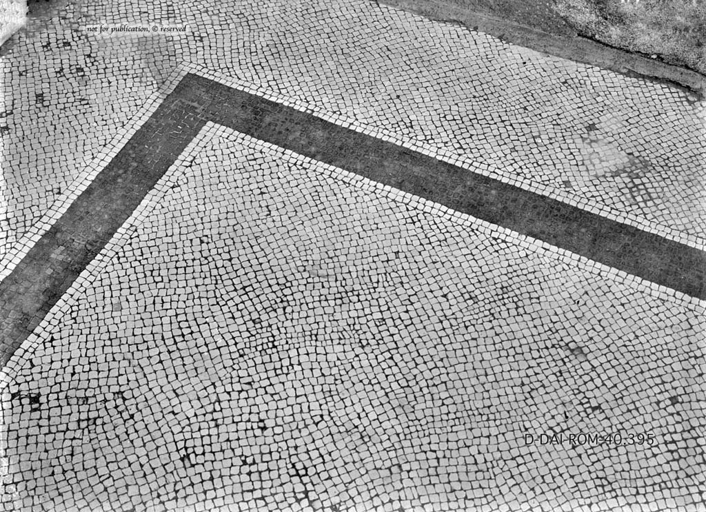 VI.6.1 Pompeii. c.1930. Room 6, detail of mosaic flooring in atrium
DAIR 40.395. Photo © Deutsches Archäologisches Institut, Abteilung Rom, Arkiv.
See Pernice, E. 1938. Pavimente und Figürliche Mosaiken: Die Hellenistische Kunst in Pompeji, Band VI. Berlin: de Gruyter, (taf. 15,5).
