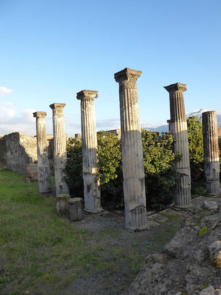 VI.6.1 Pompeii. January 2017. Looking south-east across north portico.
Foto Annette Haug, ERC Grant 681269 DÉCOR.