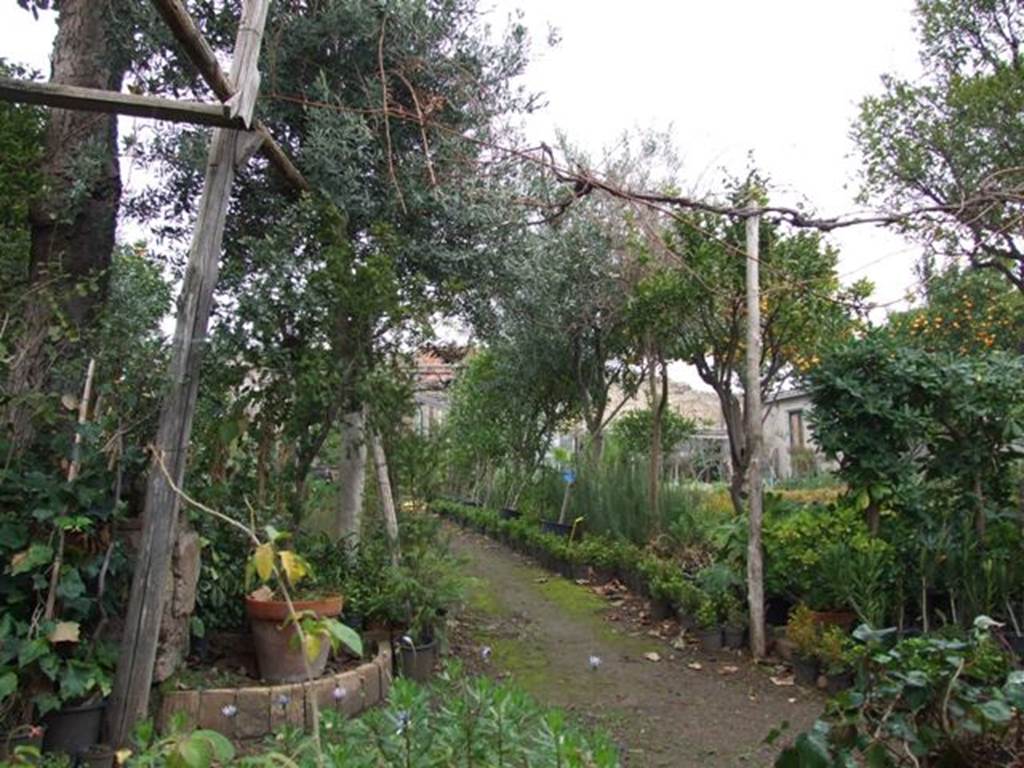 VI.6.1 Pompeii. December 2007. Looking north across kitchen garden from room 19, exedra. According to Jashemski, when excavated in 1827, the garden had a portico across its southern end. At the rear of the garden, on the right, there was a water reservoir and remains of lead fittings and pipes, probably used for watering the garden. See Jashemski, W. F., 1993. The Gardens of Pompeii, Volume II: Appendices. New York: Caratzas. (p.128).
According to Garcia y Garcia, in the night of 14th-15th September 1943 at least three bombs fell on the area of this large garden. They destroyed two pilasters and four columns. In the north-east corner of the garden, there was also the partial destruction of a room with a large cistern, together with a corner of a room near the separate entrance at VI.6.12. Also damaged was the area to the south-east of the atrium and the annexed workshop. This damage was restored.
See Garcia y Garcia, L., 2006. Danni di guerra a Pompei. Rome: L’Erma di Bretschneider. (p.75)