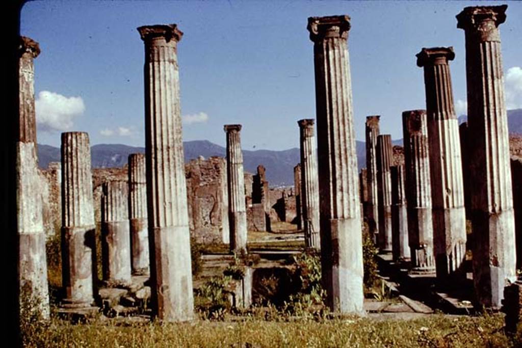 VI.6.1 Pompeii. 1961. Looking south across pool in peristyle, towards tablinum, atrium and entrance. Photo by Stanley A. Jashemski.
Source: The Wilhelmina and Stanley A. Jashemski archive in the University of Maryland Library, Special Collections (See collection page) and made available under the Creative Commons Attribution-Non Commercial License v.4. See Licence and use details.
J61f0368