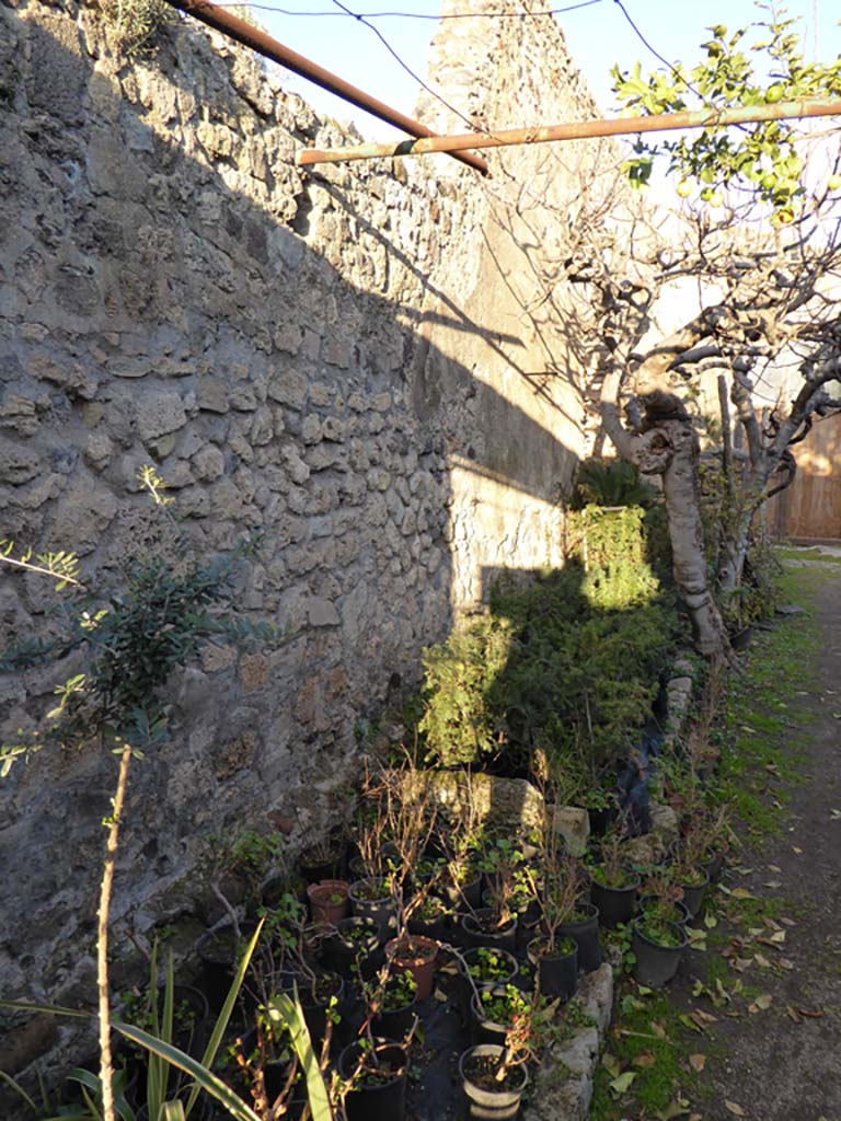 VI.6.12 Pompeii. January 2017. Looking east along interior of north wall.
Foto Annette Haug, ERC Grant 681269 DÉCOR.