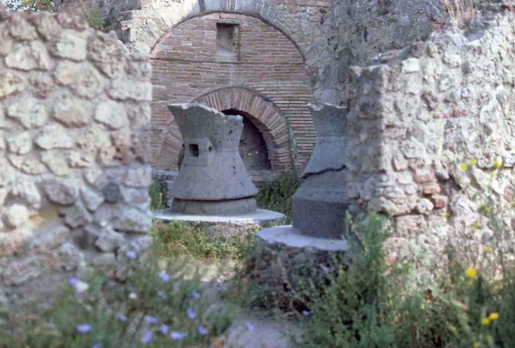 VI.6.17 Pompeii. August 1976. Looking through doorway to bakery in north wall of entrance room.
Photo courtesy of Rick Bauer, from Dr George Fay’s slides collection.