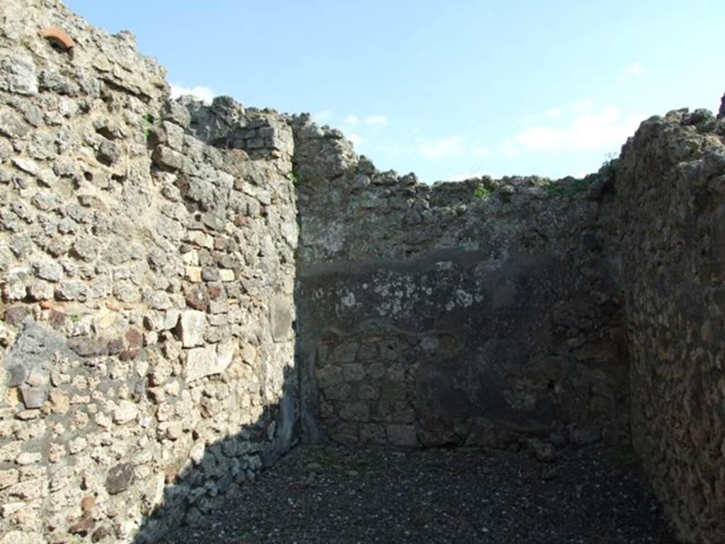 VI.7.3 Pompeii. March 2009. Room 8. South wall.