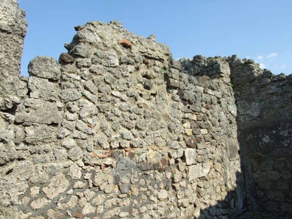 VI.7.3 Pompeii. March 2009. Room 8. East wall.