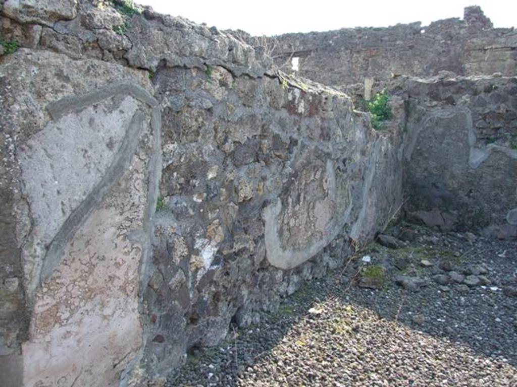 VI.7.3 Pompeii. March 2009. Room 11. South wall.
