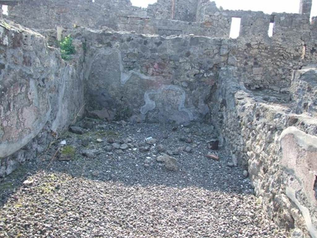 VI.7.3 Pompeii. March 2009. Room 11. West wall.