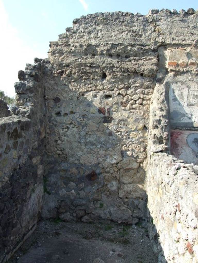VI.7.3 Pompeii. March 2009. Room 2. North wall.