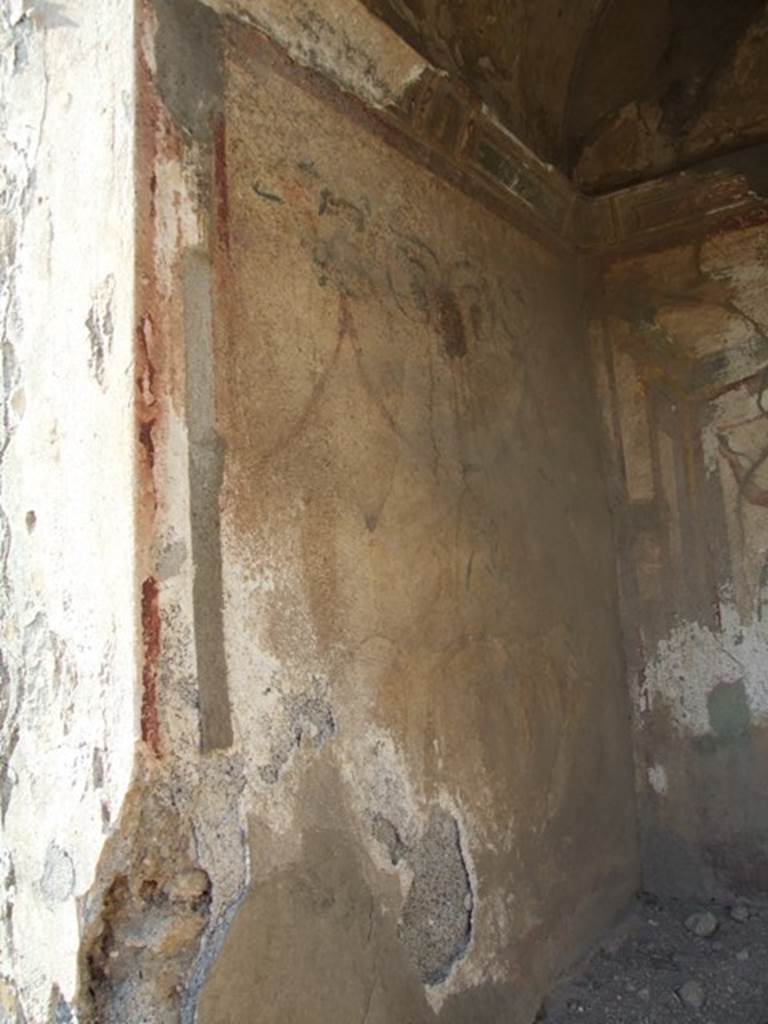 VI.7.6 Pompeii. March 2009. West wall of Lararium, with painting of garlands, and remains of a serpent.