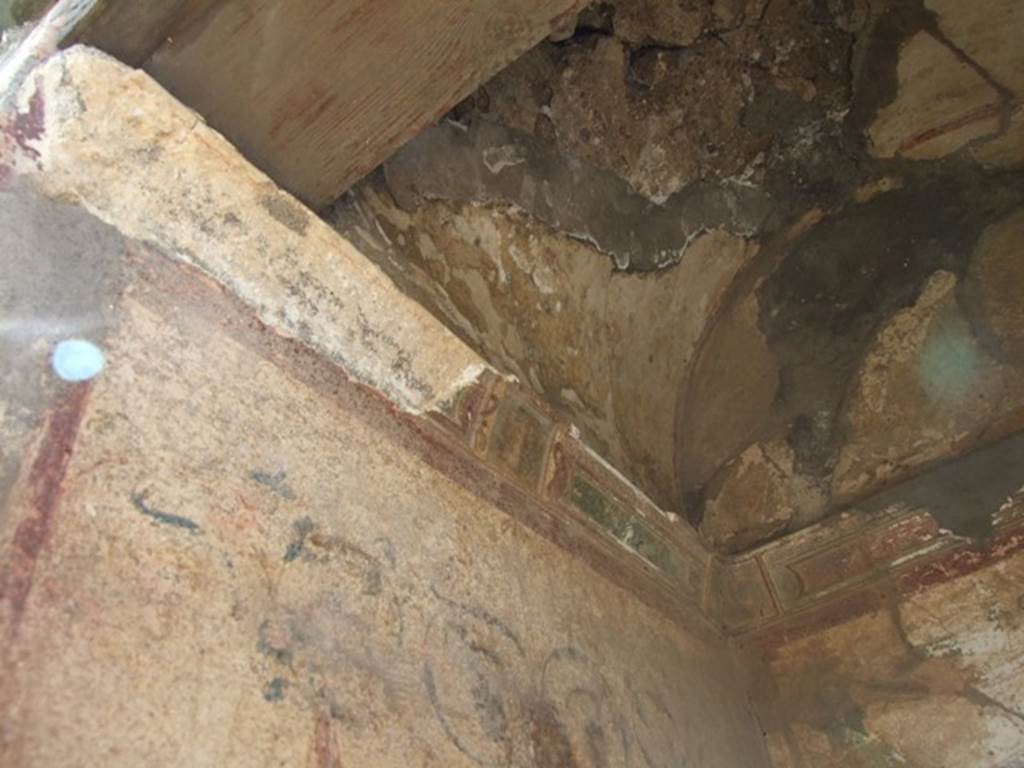 VI.7.6 Pompeii. March 2009. Inside upper area of Lararium.