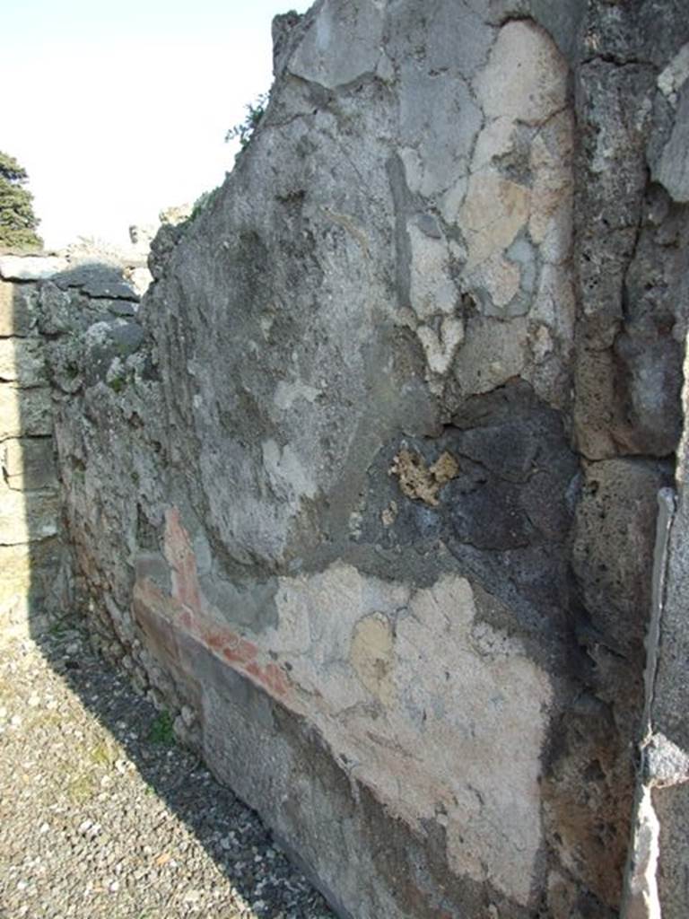 VI.7.6 Pompeii. March 2009. Room 12. South wall.