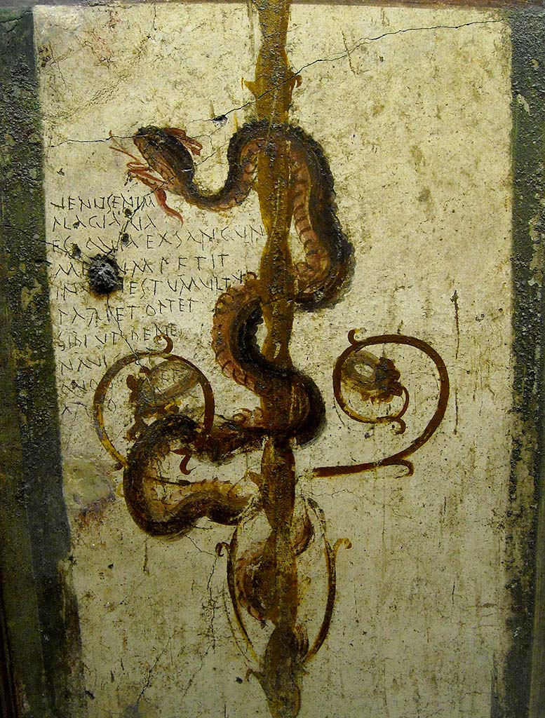 VI.7.6 Pompeii. Found in 1835, room 2, cubiculum. Painting of a serpent, bringer of good fortune.
Now in Naples Archaeological Museum. Inventory number 4694.