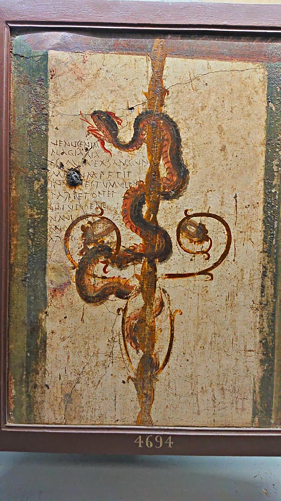 VI.7.6 Pompeii. Found in 1835, room 2, cubiculum.
Detail of painting of a serpent, bringer of good fortune, with graffiti.
Now in Naples Archaeological Museum. Inventory number 4694.
Photo courtesy of Giuseppe Ciaramella, June 2017.