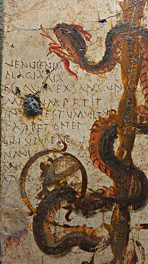 VI.7.6 Pompeii. Found in 1835, room 2, cubiculum.
Detail of painting of a serpent, bringer of good fortune, with graffiti.
Now in Naples Archaeological Museum. Inventory number 4694.
Photo courtesy of Giuseppe Ciaramella, June 2017.