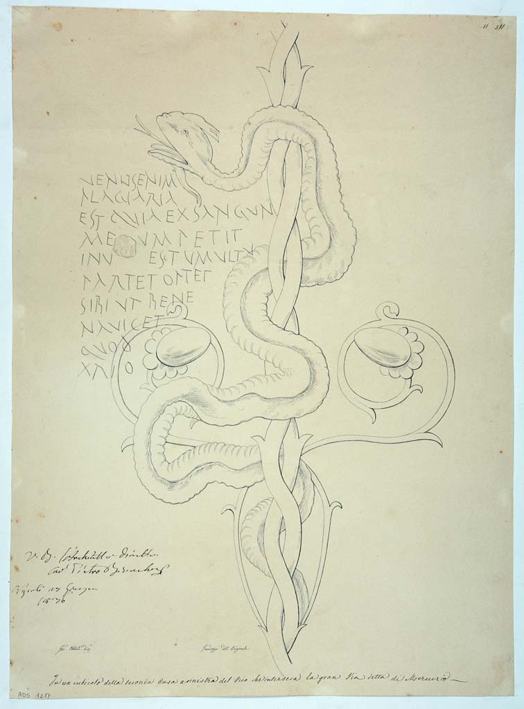 VI.7.6 Pompeii. Pen and ink drawing by Giuseppe Abbate (1836) showing the serpent coiled around a candelabra.
Now in Naples Archaeological Museum. Inventory number ADS 1217.
The original painting was detached from the wall and is now in Naples Archaeological Museum. Inventory number 4694.
The graffiti, CIL IV 1410, 1411, can be clearly seen on the left.
Photo © ICCD. http://www.catalogo.beniculturali.it
Utilizzabili alle condizioni della licenza Attribuzione - Non commerciale - Condividi allo stesso modo 2.5 Italia (CC BY-NC-SA 2.5 IT)