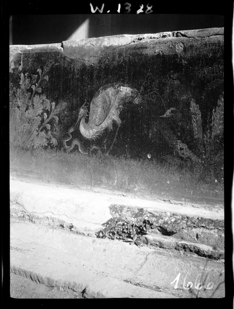 VI.7.18 Pompeii. W.1328.
Detail from wall in east portico of peristyle, showing painted plants, serpent and heron.
Photo by Tatiana Warscher. Photo © Deutsches Archäologisches Institut, Abteilung Rom, Arkiv.