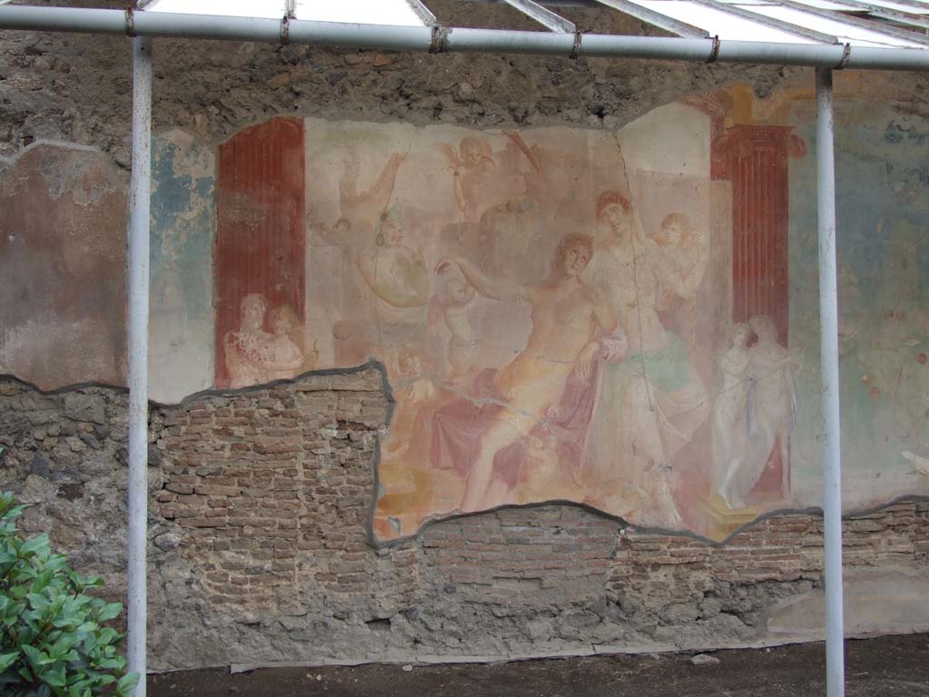 VI.7.18 Pompeii. December 2006. Large wall painting of Adonis ferito and Aphrodite in peristyle.
In front of the left column are Chiron and Achilles with a lyre.
In front of the right column are Marsyas and Olympus with a lyre.