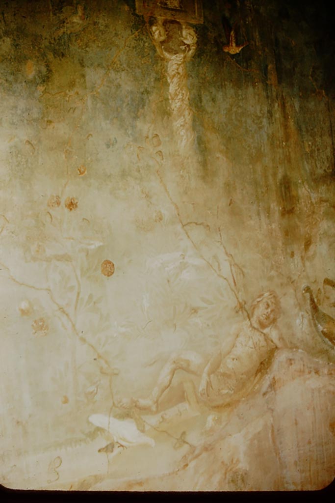 VI.7.18 Pompeii. 1957.
Detail of sleeping boy/Eros? and peacock, from north wall. Photo by Stanley A. Jashemski.
Source: The Wilhelmina and Stanley A. Jashemski archive in the University of Maryland Library, Special Collections (See collection page) and made available under the Creative Commons Attribution-Non Commercial License v.4. See Licence and use details.
J57f0188