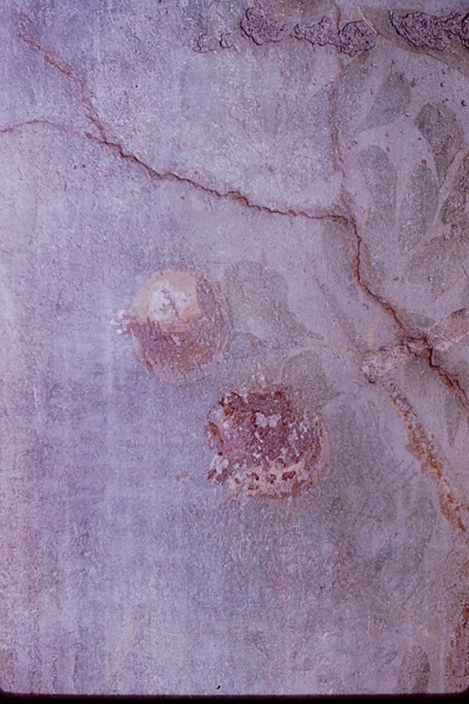VI.7.18 Pompeii. 1966.
Detail of painted garden fruit on north wall. Photo by Stanley A. Jashemski.
Source: The Wilhelmina and Stanley A. Jashemski archive in the University of Maryland Library, Special Collections (See collection page) and made available under the Creative Commons Attribution-Non Commercial License v.4. See Licence and use details.
J66f0683