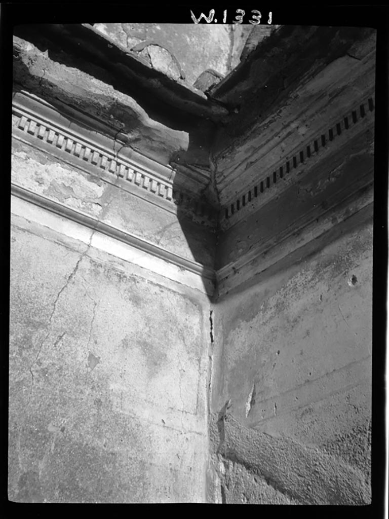 VI.7.18 Pompeii. W.1331. Cornice in north-east corner of cubiculum.
Photo by Tatiana Warscher. Photo © Deutsches Archäologisches Institut, Abteilung Rom, Arkiv.