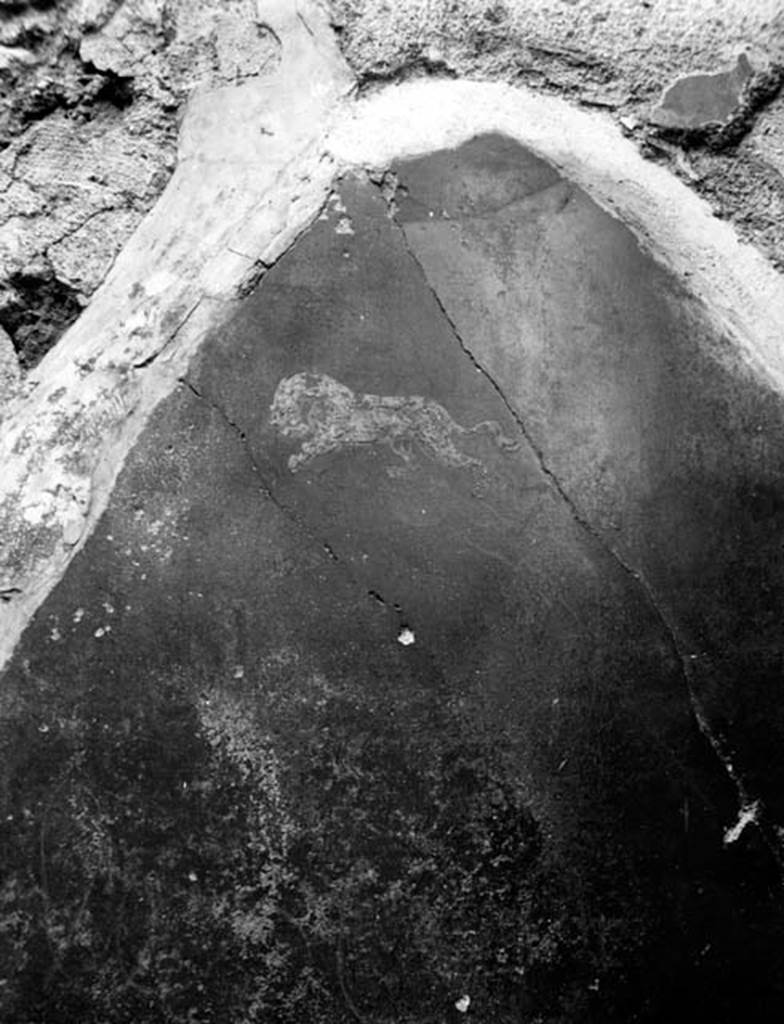 231125 Bestand-D-DAI-ROM-W.1243.jpg
VI.7.20 Pompeii. W.1243. Remains of wall decoration, lion. According to Breton, in one of the rooms opening onto the peristyle, a painting of a deer followed by a lion could be seen.
See Breton, Ernest. 1870. Pompeia, Guide de visite a Pompei, 3rd ed. Paris, Guerin.
According to Helbig in the room on the left of the tablinum, a hunt scene was found.
See Helbig, W., 1868. Wandgemälde der vom Vesuv verschütteten Städte Campaniens. Leipzig: Breitkopf und Härtel. (1597)
Photo by Tatiana Warscher. With kind permission of DAI Rome, whose copyright it remains.
See http://arachne.uni-koeln.de/item/marbilderbestand/231125