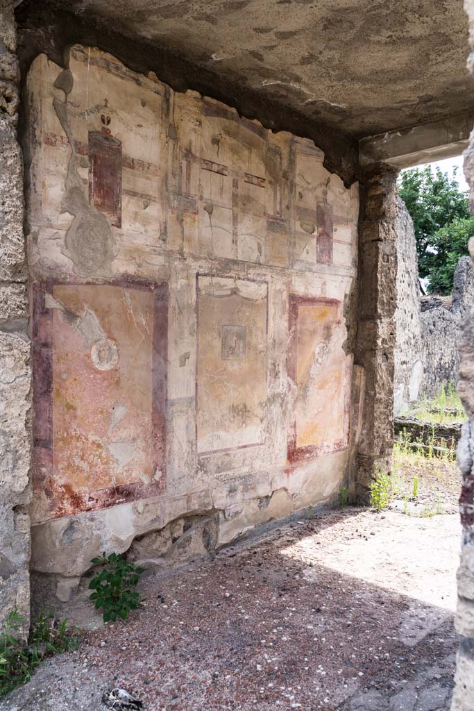 VI.7.23 Pompeii. July 2021.
Looking west towards south wall of tablinum. Photo courtesy of Johannes Eber.