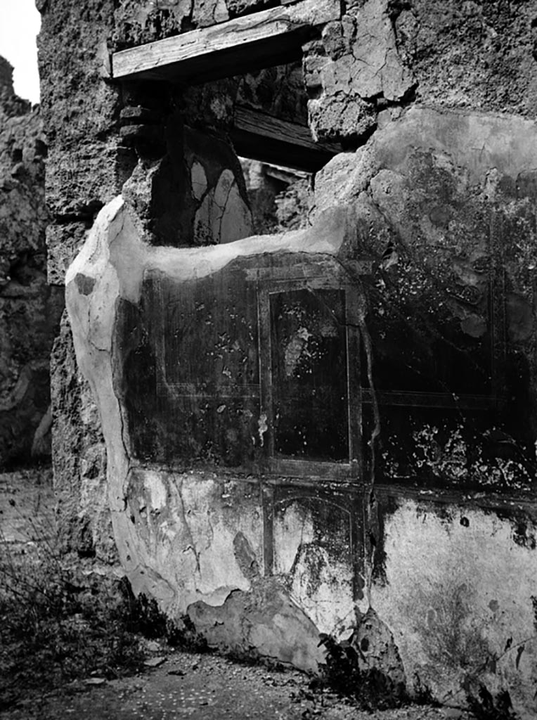 VI.7.23 Pompeii. W.1212. Painted remains of the wall painting on the north side of the garden courtyard area.
Photo by Tatiana Warscher. Photo © Deutsches Archäologisches Institut, Abteilung Rom, Arkiv.