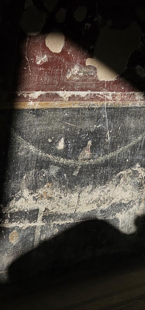 VI.8.3 Pompeii. December 2023.
Room 12, detail of bird from zoccolo on lower north wall.
Photo courtesy of Miriam Colomer.