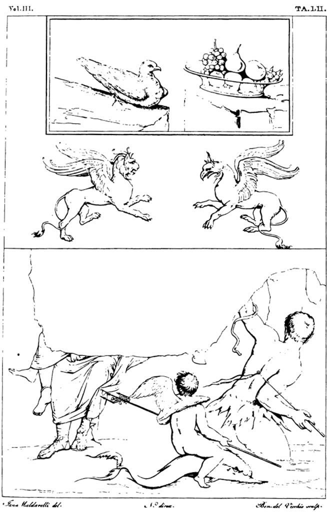 VI.8.3/5 Pompeii. Pre-1827. Drawings by Maldarelli of decorations and paintings from in the house.
Upper and centre –
Room 12, the dove near to the glass dish full of fruit (top), and the imaginary animals (middle) are from the decoration on the north wall of the triclinium/exedra.
Lower drawing –
painting seen on the west wall of the atrium, showing a Cupid on a dolphin with the trident of Neptune in his hands, a triton, and the legs of other figures.
See Real Museo Borbonico, Vol. III, 1827, Tav. LII (52).
