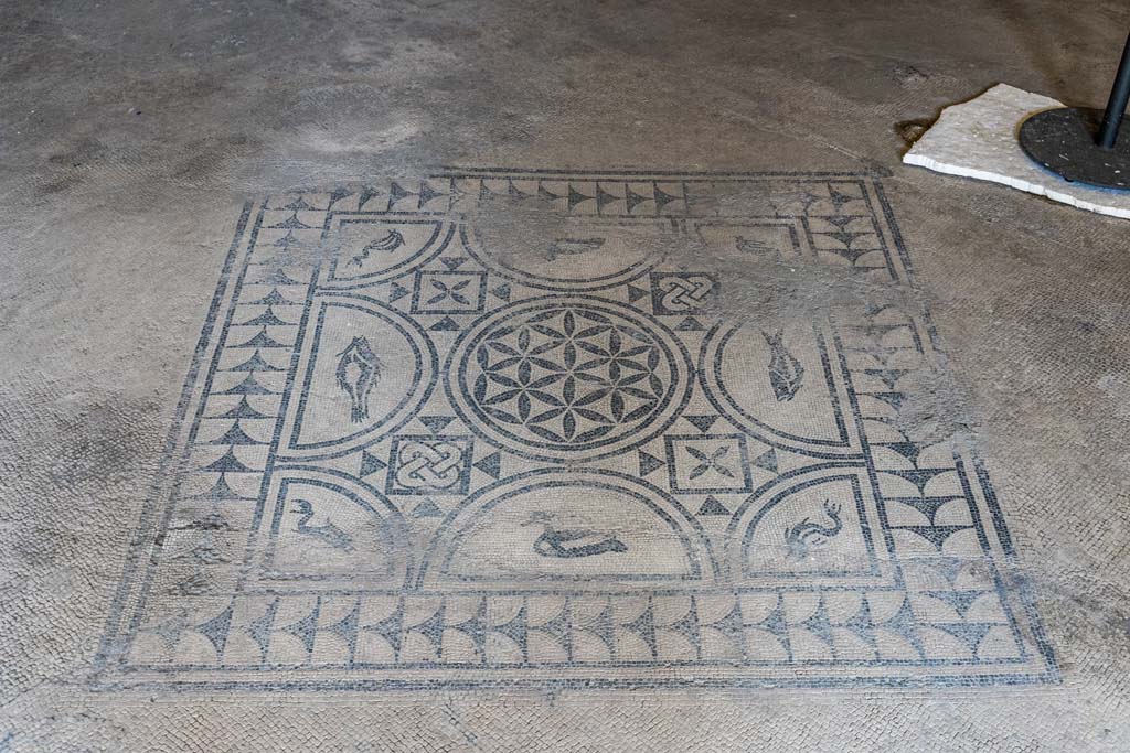 VI.8.3/5 Pompeii. April 2022. Room 12, emblema in centre of mosaic floor. Photo courtesy of Johannes Eber.