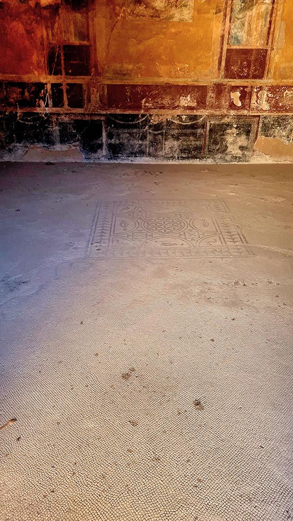 VI.8.3/5 Pompeii. October 2024.
Room 12, central emblema in floor and detail of zoccolo on east wall of dining room.
Photo courtesy of Giuseppe Ciaramella.