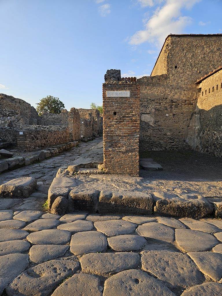 VI.8.4 Pompeii. November 2024.
Looking north to pilaster on west side of entrance doorway. Photo courtesy of Annette Haug.