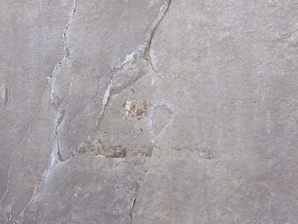 VI.8.5 Pompeii. March 2009. Room 7, remains of painting on north wall of cubiculum