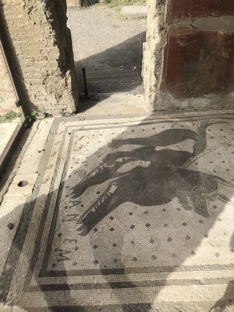 VI.8.5, Pompeii. April 2019. Looking west from side towards mosaic at entrance doorway.
Photo courtesy of Rick Bauer.