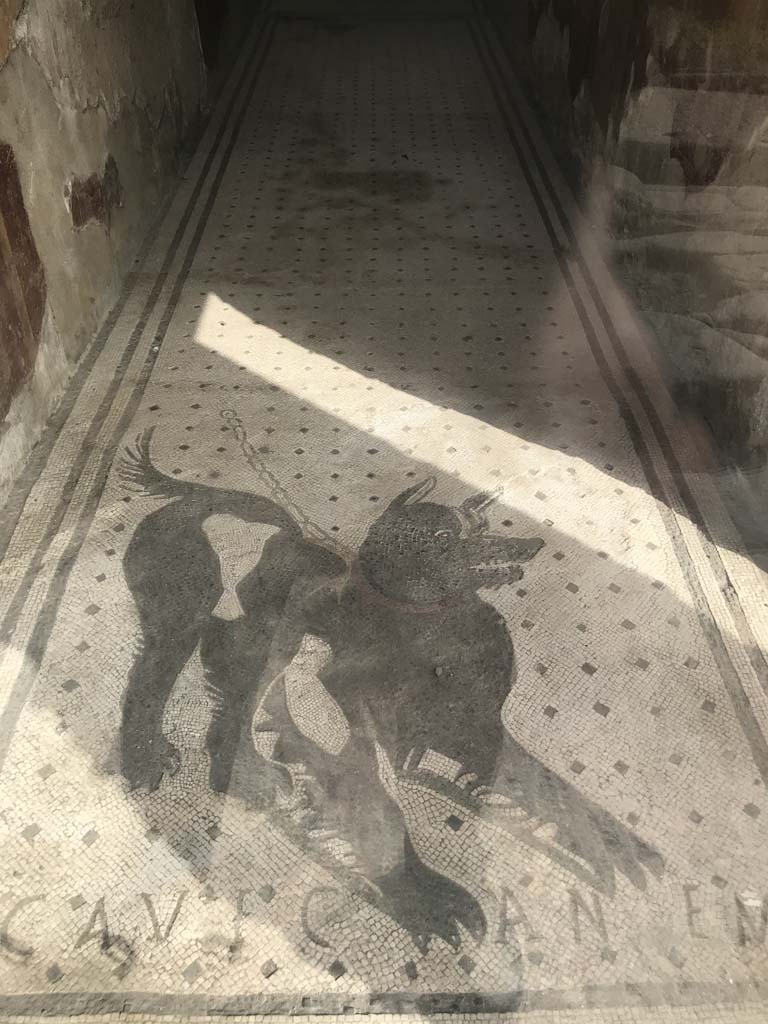 VI.8.5, Pompeii. April 2019. Looking north through entrance towards watchdog (Cave Canem mosaic).
Photo courtesy of Rick Bauer.