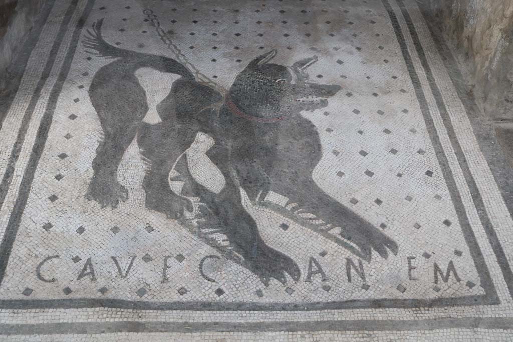 VI.8.5, Pompeii. December 2018.
Looking north through entrance towards watchdog (Cave Canem mosaic). Photo courtesy of Aude Durand.