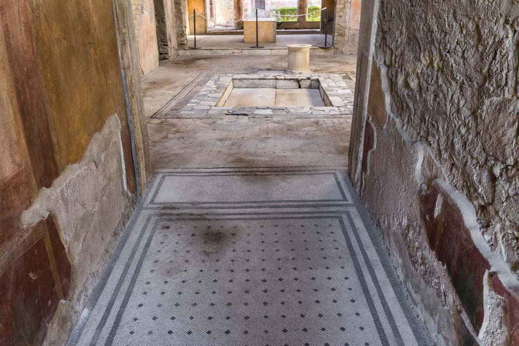 VI.8.3/5 Pompeii. April 2022.
Looking north across flooring in entrance corridor towards flooring in atrium. Photo courtesy of Johannes Eber.