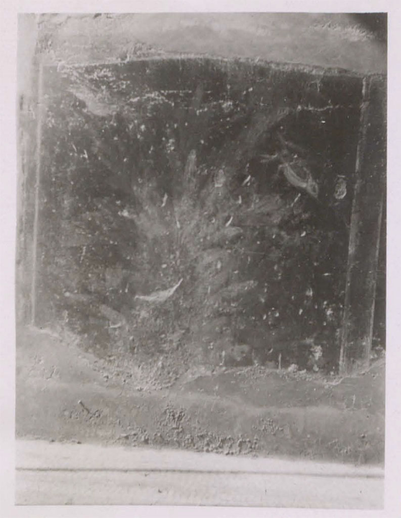 VI.8.5 Pompeii. Pre-1942. Painted zoccolo wall in entrance corridor/fauces.
See Warscher, T. 1942. Catalogo illustrato degli affreschi del Museo Nazionale di Napoli. Sala LXXX. Vol.2. Rome, Swedish Institute, p.29.