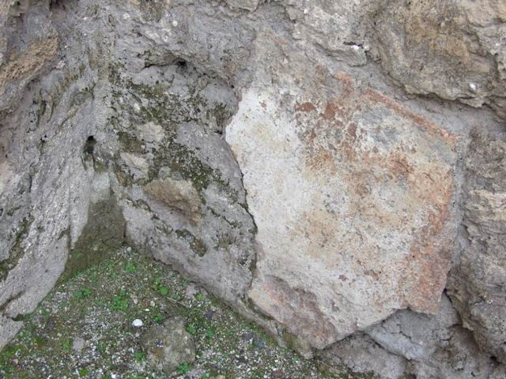 VI.8.11 Pompeii. Shop. December 2007. Remains of painted plaster in north west corner of rear room.