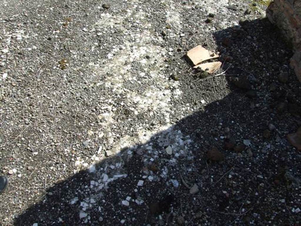 VI.8.20 Pompeii. March 2009. Room 4. Peristyle area. Remains of floor tesserae.